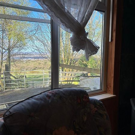 Cozy Room In A Barn With Farm View Dublin Extérieur photo