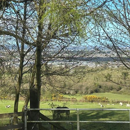 Cozy Room In A Barn With Farm View Dublin Extérieur photo
